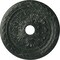 Ekena Millwork Palmetto Medallion (Canopies up to 3 5/8"), 23 5/8"OD x 3 5/8"ID x 1 5/8"P, Painted Turtle Crackle CM23PMPTC - alternate 1